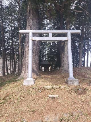 九万八千神社の参拝記録(さとみさん)