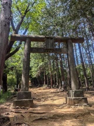 金刀比羅神社の参拝記録(はくすみさん)