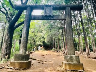 金刀比羅神社の参拝記録(shikigami_hさん)
