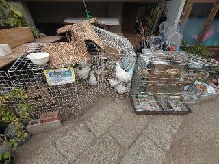 大法寺の参拝記録(ああああさん)