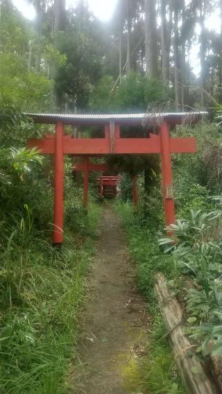 夏田山扇森稲荷神社の参拝記録(雪月さん)