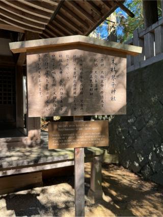 琴平神社(桜山八幡宮末社)の参拝記録(こーちんさん)
