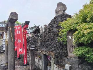 白狐神(石浜神社境内社)の参拝記録(あべちゃんさん)