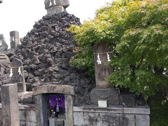 富士山遥拝所(石浜神社境内社)の参拝記録5