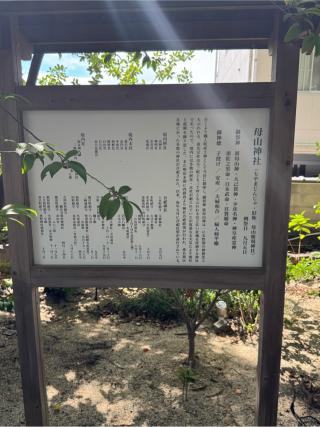 母山神社（桑名宗社）の参拝記録(こーちんさん)