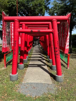 赤須賀稲荷神社（赤須賀神明社）の参拝記録(こーちんさん)