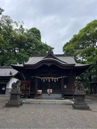 鷹松神社の参拝記録(こうじさん)