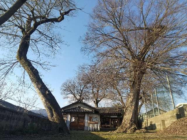奈良県五條市本町1-1-31 八幡神社 (五條市本町)の写真2