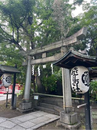 浅間神社(素盞雄神社)の参拝記録(⛩️🐍🐢まめ🐢🐍⛩️さん)