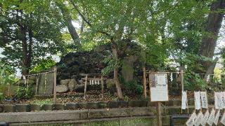 浅間神社(素盞雄神社)の参拝記録(りょうまさん)