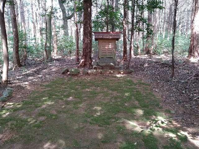 愛知県豊川市上長山町下三手川 祠の写真1