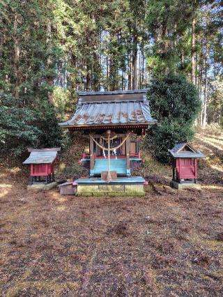 住吉神社の参拝記録(zx14rさん)