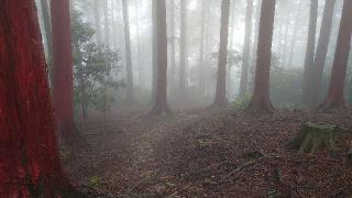 岩戸神社遥拝所（砥鹿神社奥宮）の参拝記録(SKさん)