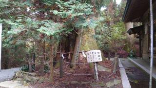 岩戸神社遥拝所（砥鹿神社奥宮）の参拝記録(ごま男さん)