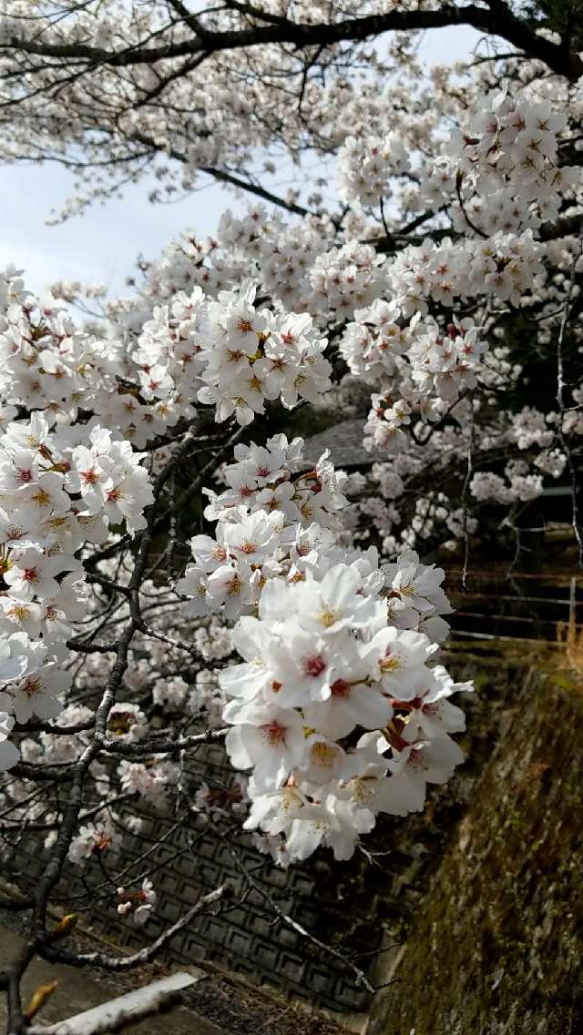 広島県安芸高田市八千代町土師 咽声神社の写真3