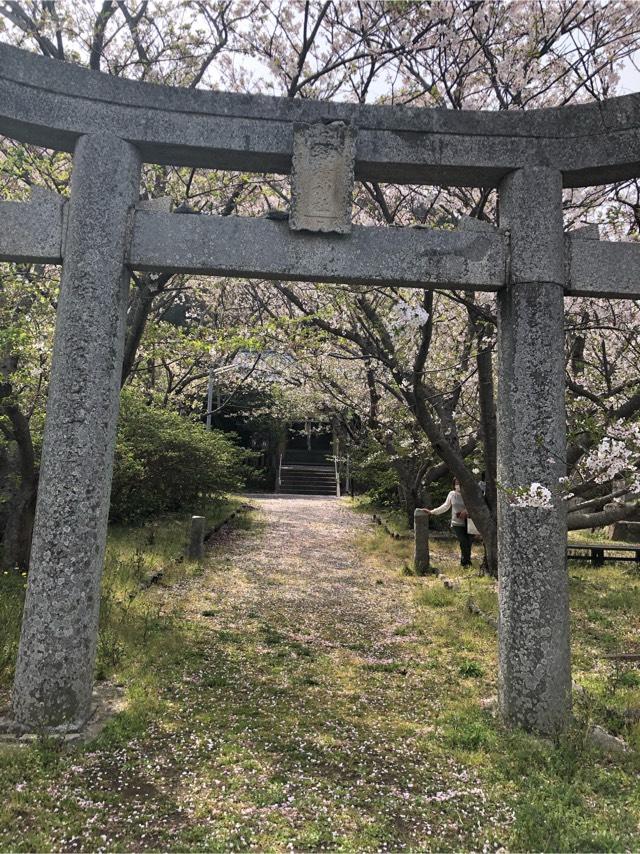 綿積神社の参拝記録5