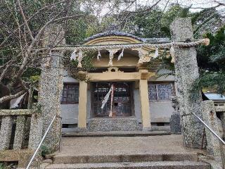綿積神社の参拝記録(飛成さん)