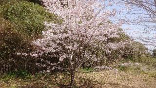蚕影神社の参拝記録(のりさん)