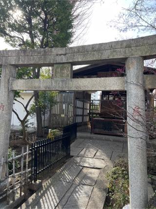 八幡神社(白山神社境内社)の参拝記録(⛩️🐍🐢まめ🐢🐍⛩️さん)