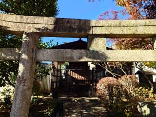 八幡神社(白山神社境内社)の参拝記録(マーくんさん)