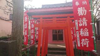 勧請稲荷の参拝記録(ロビンさん)