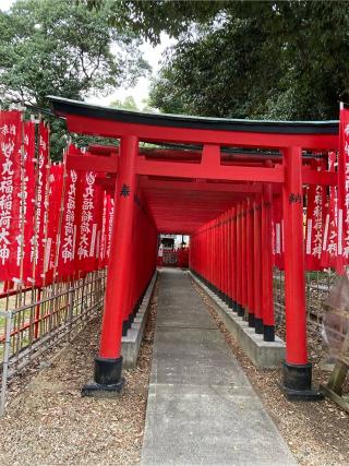 丸福稲荷大神（丸山神明社）の参拝記録(恭子さん)