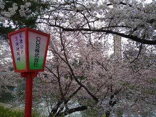 晴明神社の参拝記録(yukiさん)