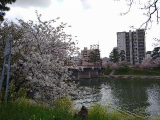 晴明神社の参拝記録(yukiさん)