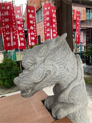 秋葉神社（新田白山神社）の参拝記録(恭子さん)