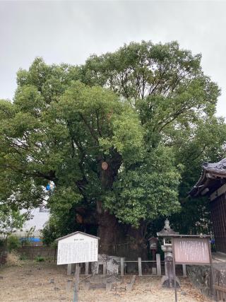 西観社（新田白山神社）の参拝記録(恭子さん)