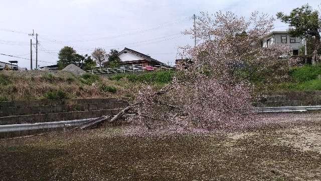 白髭神社の参拝記録1