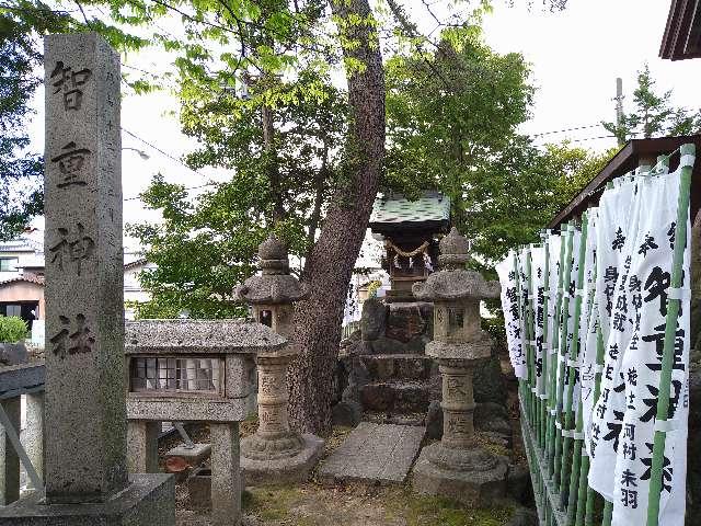 愛知県岩倉市曽野町宮前 智重神社（神明社）の写真1