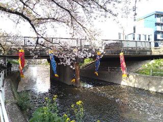 子安大神（神明大一社）の参拝記録(yukiさん)