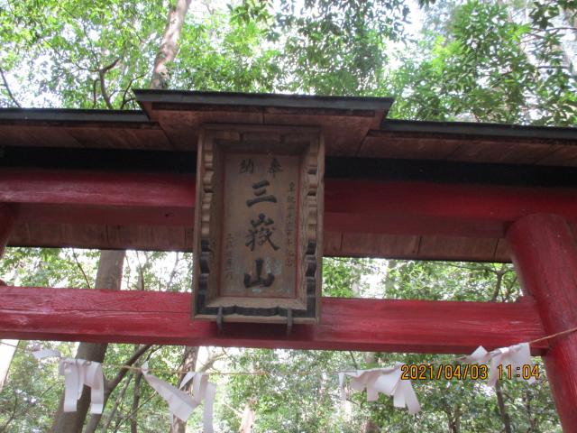 埼玉県久喜市菖蒲町上栢間3488 三嶽社の写真3