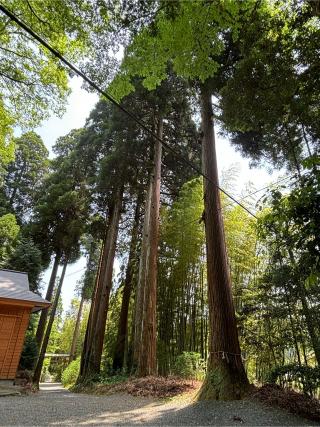 二瀬本神社の参拝記録(synergyosakaさん)