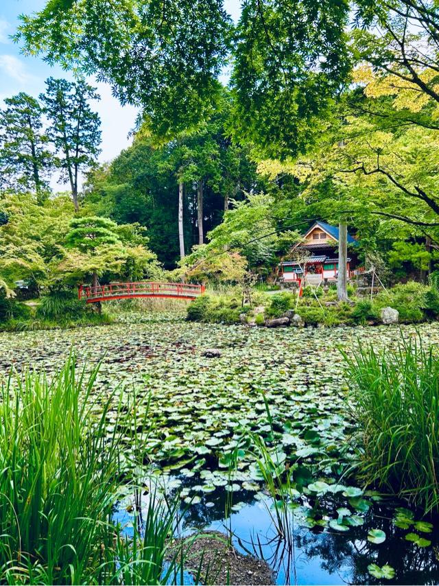 若宮社(大原野神社)の参拝記録4