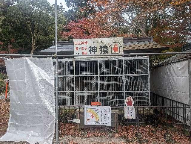 日吉大社 神猿舎の参拝記録3