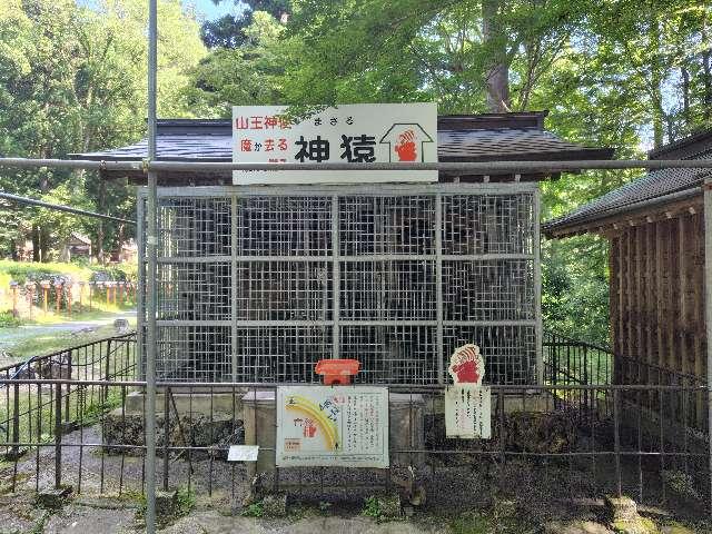 日吉大社 神猿舎の参拝記録3