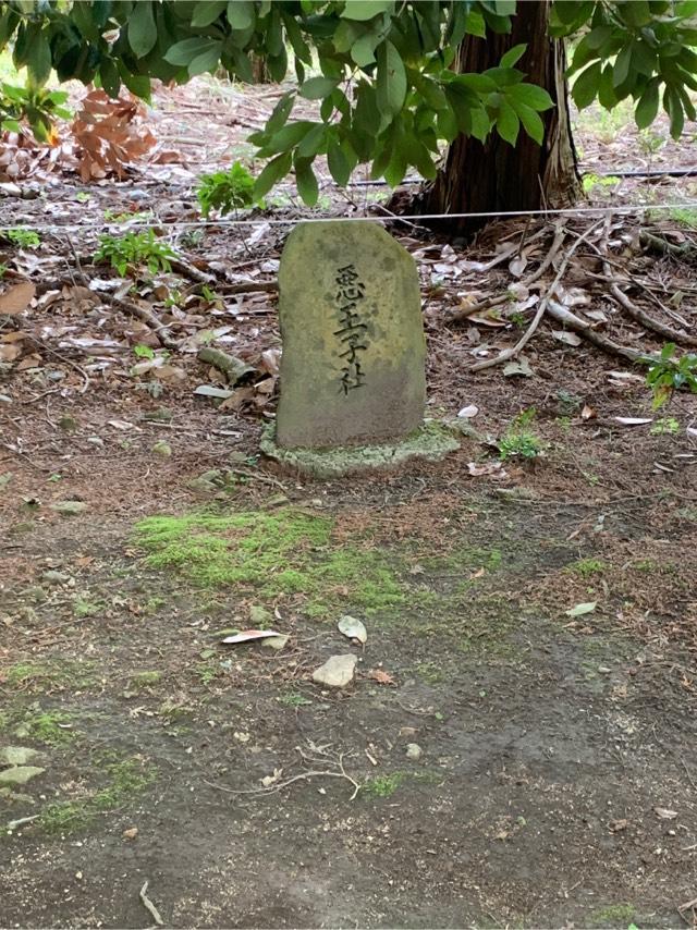 日吉大社 悪王子社の参拝記録(もそもそ🤗さん)