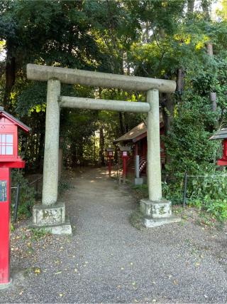 鹿島神社(鷲宮神社境内社)の参拝記録(⛩️🐍🐢まめ🐢🐍⛩️さん)