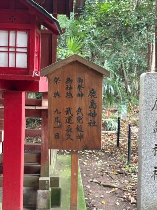鹿島神社(鷲宮神社境内社)の参拝記録(色部優兎さん)