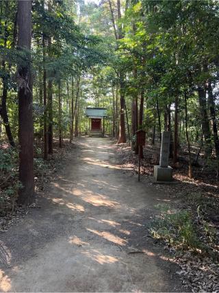 神明神社(鷲宮神社境内社)の参拝記録(⛩️🐍🐢まめ🐢🐍⛩️さん)