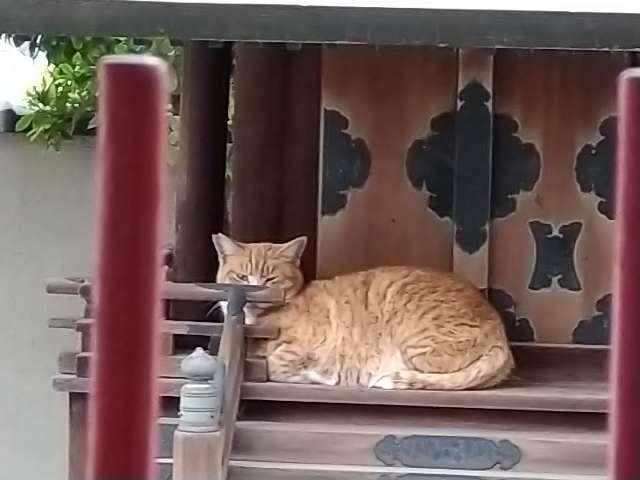 福徳稲荷神社（西古渡神社）の参拝記録1
