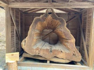 五木阿蘇神社の参拝記録(よしとさん)