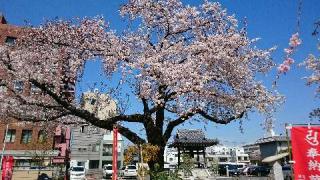 高野山 東京別院の参拝記録(松さん)