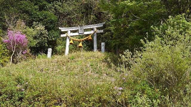愛知県岡崎市蓬生町椎ノヤゲ 三河富士浅間神社の写真2