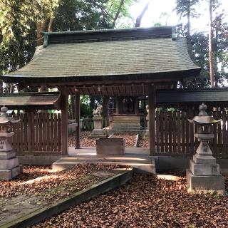 護国神社（入見神社）の参拝記録(ワヲンさん)