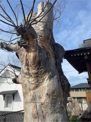 二階堂神社の参拝記録(ギャズさん)