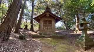 坂戸神社の参拝記録(金猿さん)