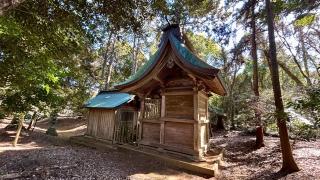 坂戸神社の参拝記録(金猿さん)